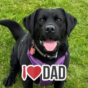 Meet your Posher, Shawn